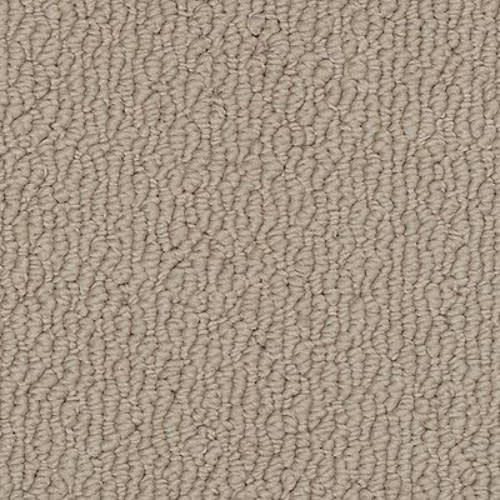 Ageless Glamour|Toasted Almond|K8950-9746 - Sample