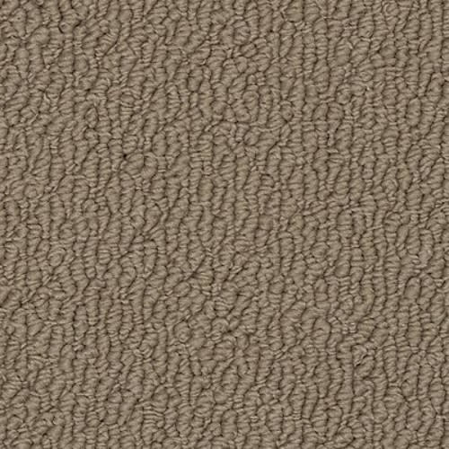 Ageless Glamour|Pinewood|9775 - Sample