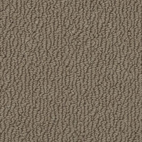 Ageless Glamour|Chocolate Velvet|9779 - Sample