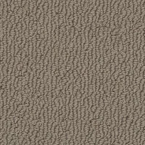 Ageless Glamour|Tranquil Taupe|9820 - Sample