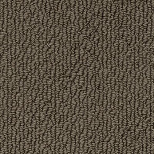 Ageless Glamour|Brownstone|9859 - Sample