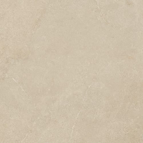 Arkigeo|Arena|WCXJ836 - Sample