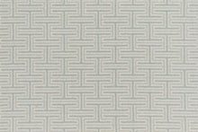 Load image into Gallery viewer, Shane in MENTHE 104 - Sample