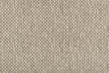 Load image into Gallery viewer, Allister in STERLING 10 - Sample