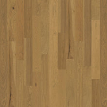 Load image into Gallery viewer, Backlands|Comal|BLD 600 - Sample