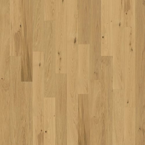 Backlands|Navasota|BLD 702 - Sample