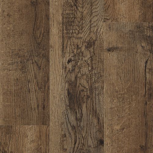 Baldoria II|Saddleback|BALP2-2 - Sample