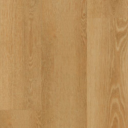 Baldoria II|Caramel|BALP2-3 - Sample