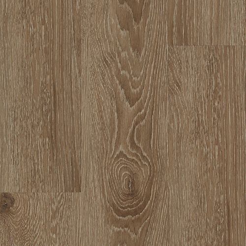 Baldoria II|Smokey Grey|BALP2-12 - Sample