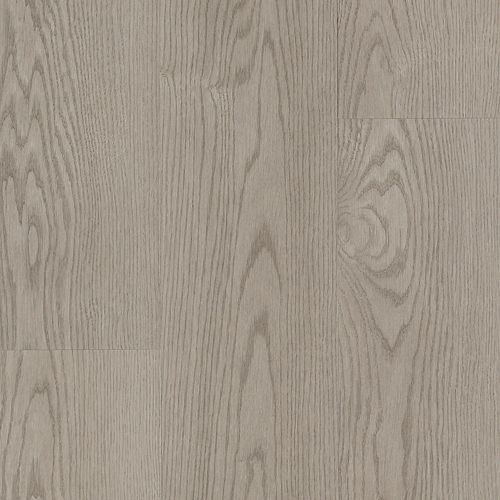 Baldoria II Plus|Grey Mist|BALP3-16 - Sample