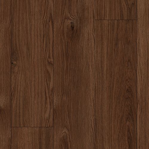 Baldoria II|Cinnamon Mocha|BALP2-460 - Sample