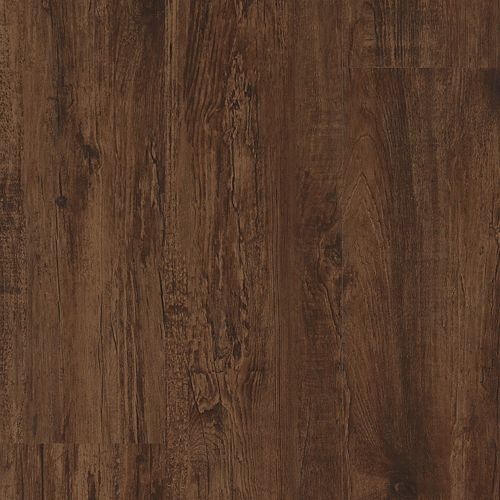 Baldoria II|Coffee Bean|BALP2-72 - Sample