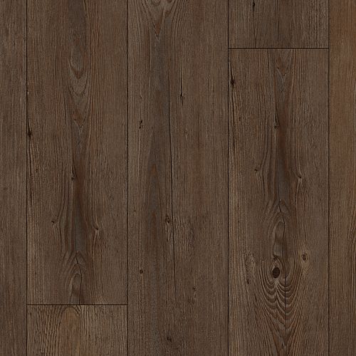 Baldoria II|Pine Crest|BALP2-983 - Sample