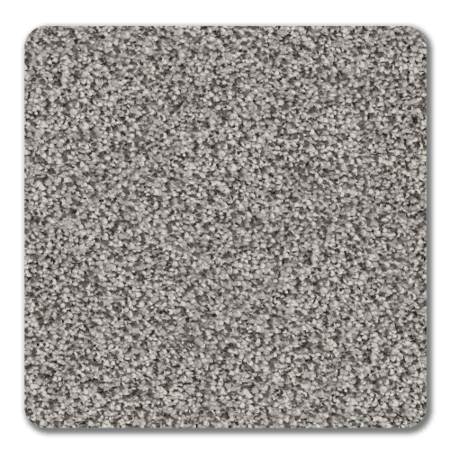 Best Of All|Rainforest|BOA-Rainforest - Sample