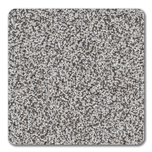 Best Of All|Snowshoe|BOA-Snowshoe - Sample