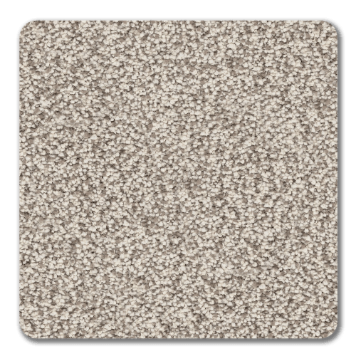 Best Of All|Tacoma|BOA-Tacoma - Sample