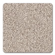 Load image into Gallery viewer, Best Of All|Tacoma|BOA-Tacoma - Sample