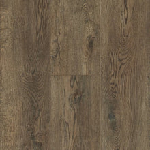 Load image into Gallery viewer, LifeSeal Reserve in Walk In Woods 9.13" X 60"