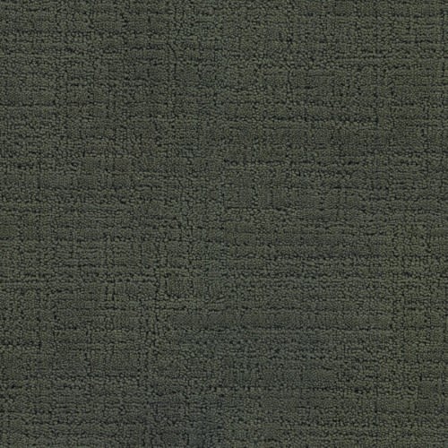 Bangladesh|Evergreen|333BD-696BD - Sample