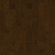 Load image into Gallery viewer, Big Sky|Helena|BIG 501 - Sample