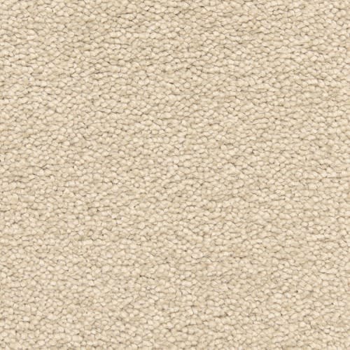 Bodega Bay|Driftwood|807BY-849BY - Sample