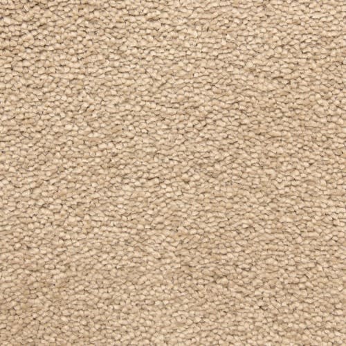 Bodega Bay|Fort Ross|807BY-851BY - Sample