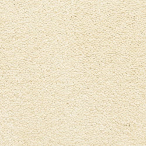 Bodega Bay|Salt Point|807BY-731BY - Sample