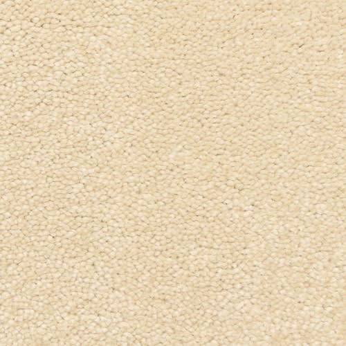 Bodega Bay|Sandy Cove|807BY-732BY - Sample