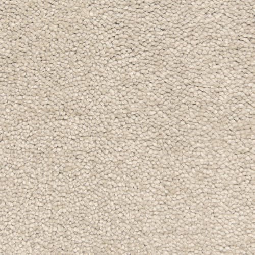 Bodega Bay|Sea Gull|807BY-937BY - Sample