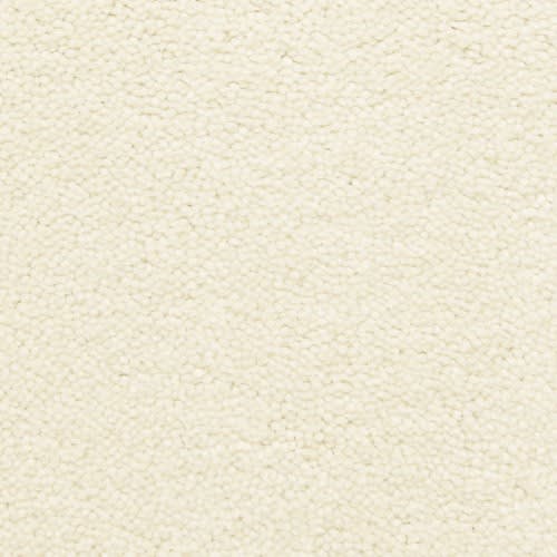 Bodega Bay|Sea Shell|807BY-711BY - Sample