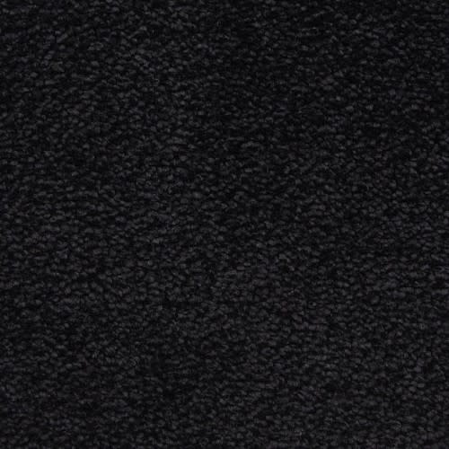 Bodega Bay|Whale Watch|807BY-999BY - Sample