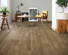 Load image into Gallery viewer, Turnstyle|Briarwood Oak|CDL81-04 - Sample