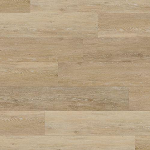 Coastal|Coquina|GEM2643RC5G - Sample