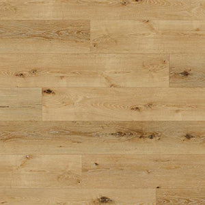 Coastal|Sand Dollar|GEM51901SRC5G - Sample