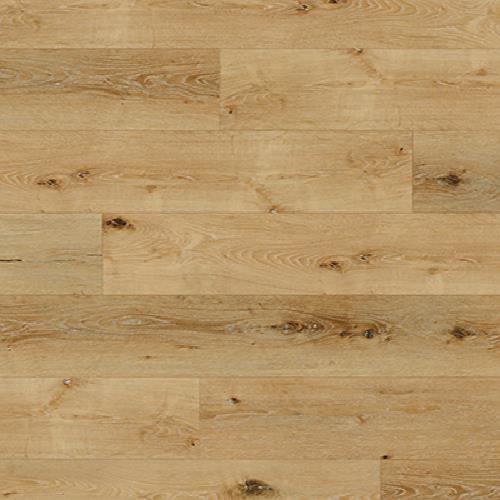 Coastal|Sand Dollar|GEM51901SRC5G - Sample