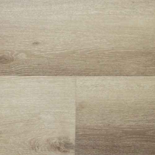 Firmfit Gold|Whisp|CW1618V - Sample