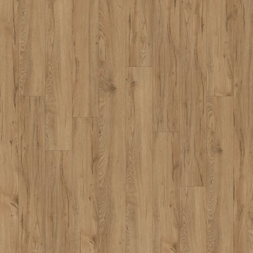 Alara Plus|Keystone|CW 263 - Sample