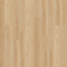 Load image into Gallery viewer, Alara Plus|Snowshoe|CW 5026 - Sample