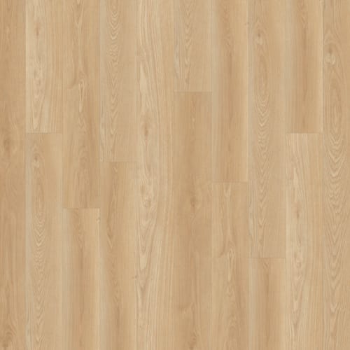 Alara Plus|Snowshoe|CW 5026 - Sample