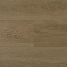 Load image into Gallery viewer, Statesman|Franklin|SM0001 - Sample