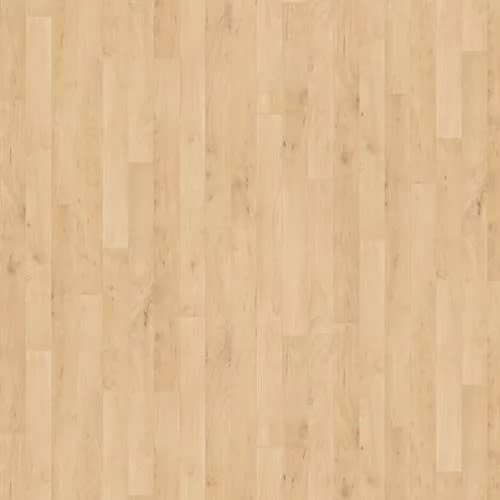 Arabella Peak|Clara Luz|AP001-754 - Sample