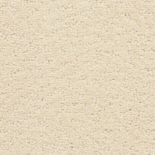 Pacific Shores|Adore|PM-D00613111-DH - Sample