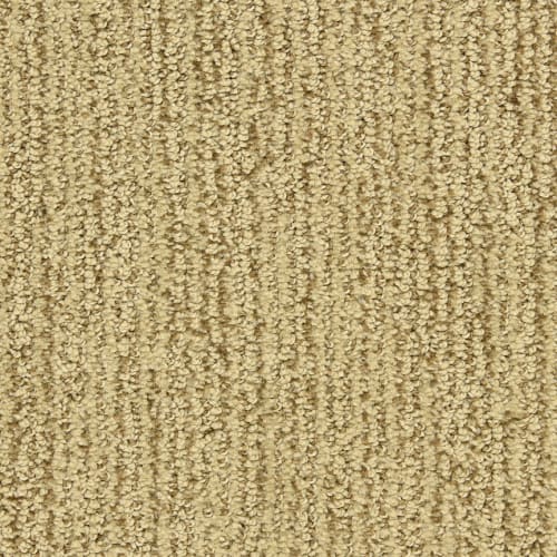 Alon|Champion|PM-D00833120-DH - Sample