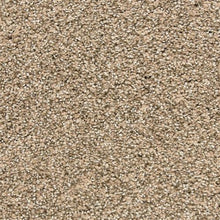 Load image into Gallery viewer, Marinette|Fawn|D012-35114 - Sample