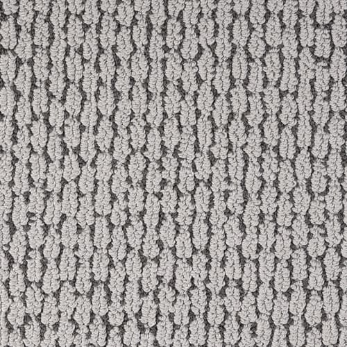 Casa Loma|Flannel|PM-D01887208-DH - Sample