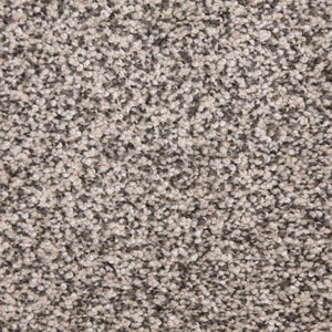 Indian Bay|Salt & Pepper|PM-D01984726-DH - Sample
