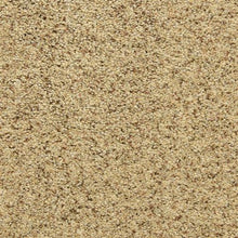 Load image into Gallery viewer, Star Power|Oatmeal Raisin|D020-80181 - Sample