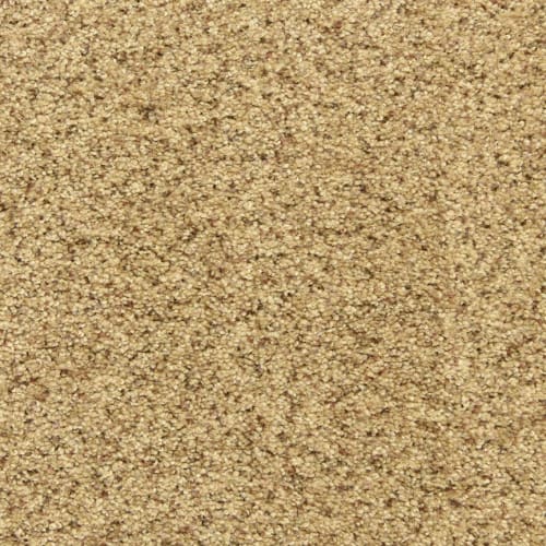 Harbor Bend|Pepper Spice|PM-D02130182-DH - Sample