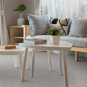 Leigh Way|Pebble Mosaic|D021-30171 - Sample