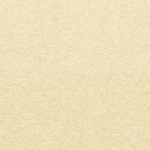 Amberhill|Water Chestnut|PM-D02210178-DH - Sample